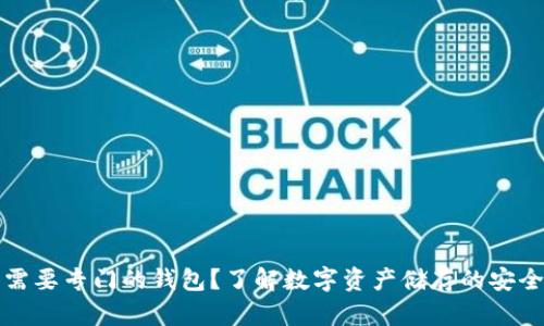 虚拟币是否需要专门的钱包？了解数字资产储存的安全性与必要性