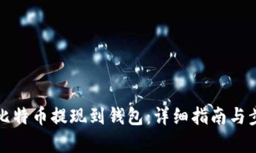 如何将比特币提现到钱包：详细指南与步骤解析