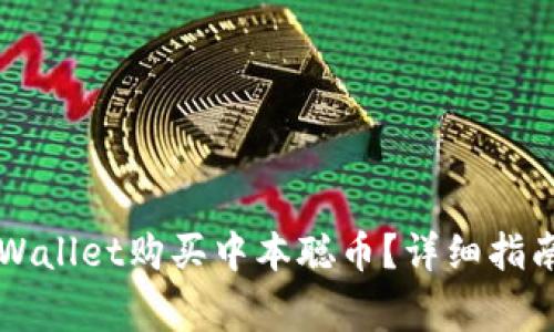 biaioti如何在tpWallet购买中本聪币？详细指南与常见问题解析