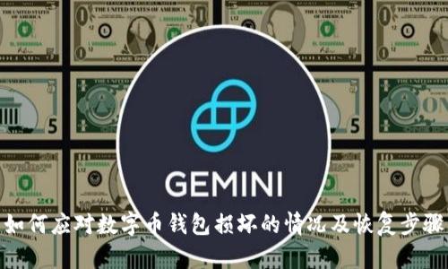 如何应对数字币钱包损坏的情况及恢复步骤