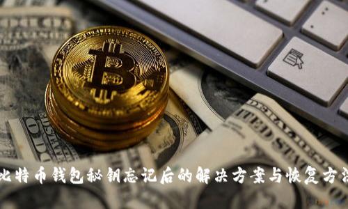 比特币钱包秘钥忘记后的解决方案与恢复方法