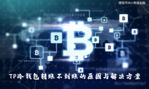 TP冷钱包转账不到账的原因与解决方案