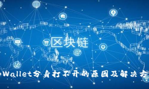 tpWallet分身打不开的原因及解决方法