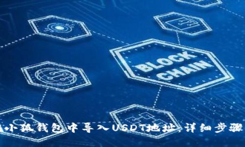 如何在小狐钱包中导入USDT地址：详细步骤与技巧