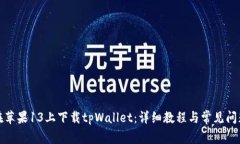如何在苹果13上下载tpWal