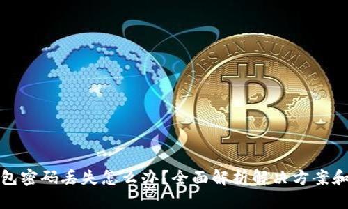 以太坊钱包密码丢失怎么办？全面解析解决方案和预防措施