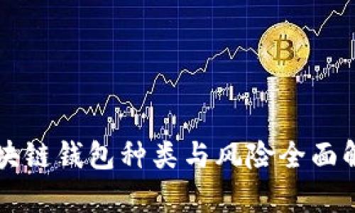 区块链钱包种类与风险全面解析