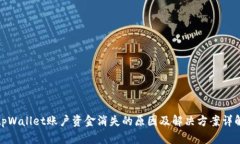 tpWallet账户资金消失的原因及解决方案详解