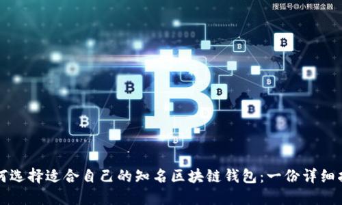 如何选择适合自己的知名区块链钱包：一份详细指南