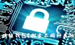如何选择合适的区块链钱