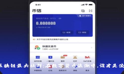 揭秘区块链最大社群：在数字货币浪潮中，谁才是佼佼者？