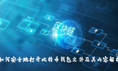 如何安全地打开比特币钱包文件及其内容解析