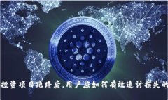 tpWallet投资项目跑路后，用户应如何有效追讨损失