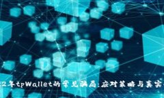 揭开2022年tpWallet的常见骗局：应对策略与真实案