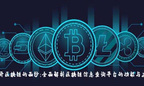 揭开区块链的面纱：全面解析区块链信息查询平台的功能与应用