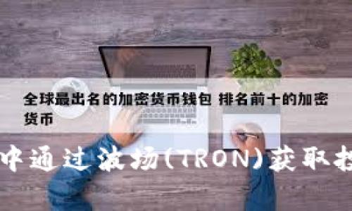如何在tpWallet中通过波场(TRON)获取投票权的全面指南