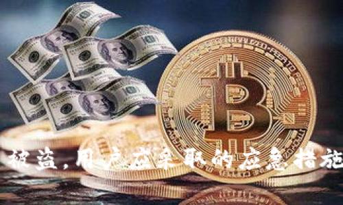 面对tpWallet币被盗，用户应采取的应急措施与长期解决方案