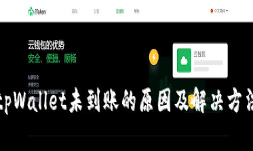 扫码tpWallet未到账的原因及解决方法详解