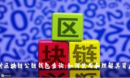 深入探讨区块链公链钱包查询：如何使用和理解其背后的机制