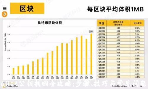 
tpWallet公钥找回全攻略：步骤、技巧与常见问题解析