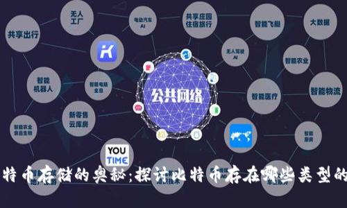 揭开比特币存储的奥秘:探讨比特币存在哪些类型的钱包中