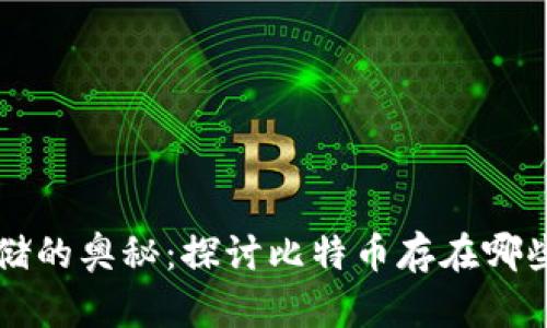 揭开比特币存储的奥秘:探讨比特币存在哪些类型的钱包中