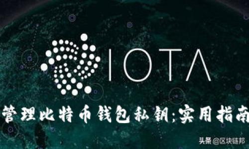 如何安全地管理比特币钱包私钥:实用指南及最佳实践