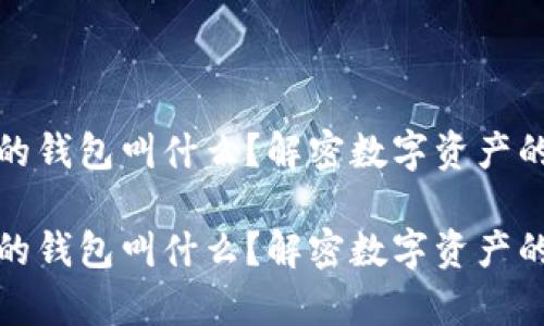 存放虚拟币的钱包叫什么?解密数字资产的安全守护者
存放虚拟币的钱包叫什么?解密数字资产的安全守护者
