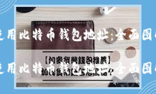 如何理解与使用比特币钱包地址：全面图解与实用指南

如何理解与使用比特币钱包地址：全面图解与实用指南