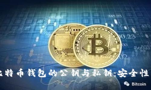 深入解析比特币钱包的公钥与私钥:安全性与使用指南