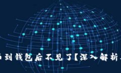 狗狗币提币到钱包后不见