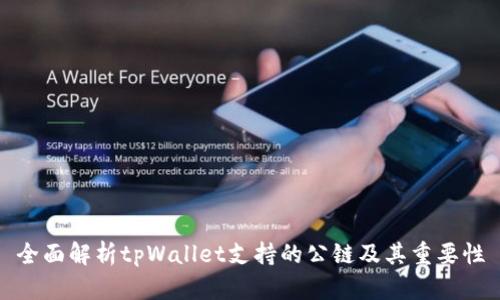 全面解析tpWallet支持的公链及其重要性