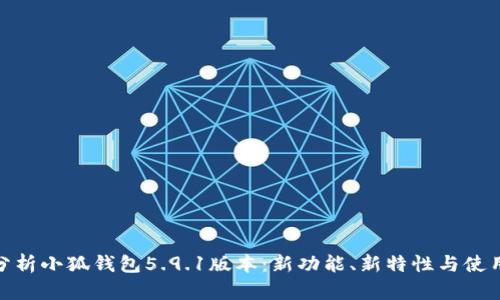 全面分析小狐钱包5.9.1版本:新功能、新特性与使用体验
