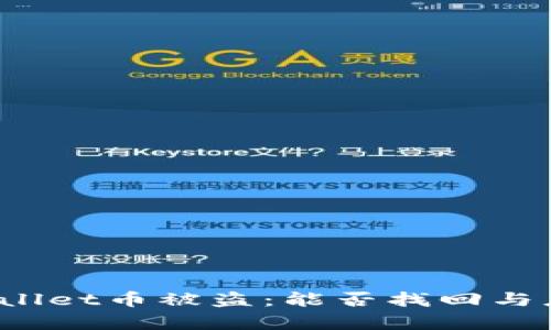  当你的tpWallet币被盗：能否找回与应对措施详解