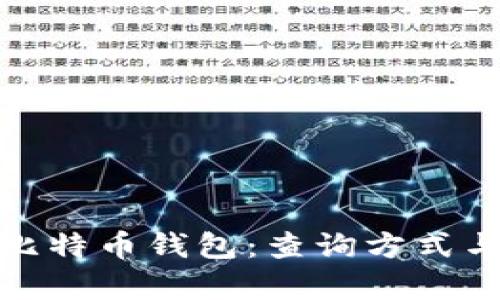 和关键词

全面解析比特币钱包：查询方式与安全保障