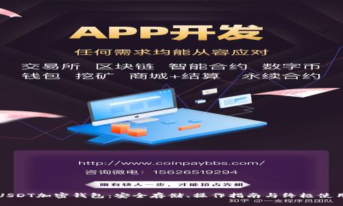 详解USDT加密钱包：安全存储、操作指南与终极使用技巧