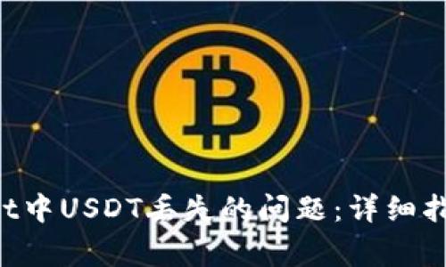 如何解决TP Wallet中USDT丢失的问题：详细指南与常见问题解答